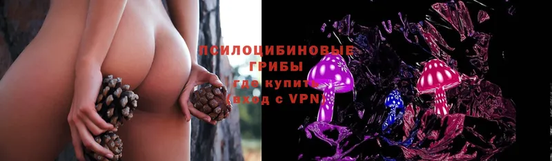 Галлюциногенные грибы Cubensis  Велиж 